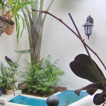 Kleines Einzelzimmer Mit Meerblick Icod De Los Vinos