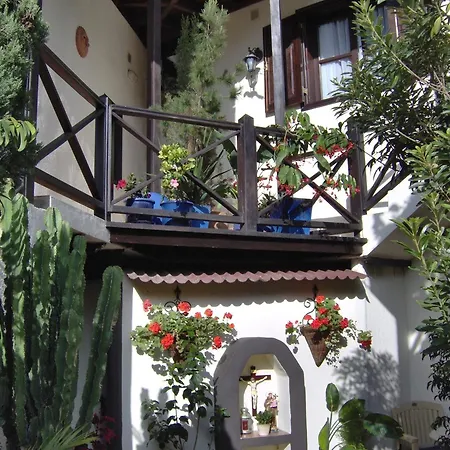 Kleines Einzelzimmer Mit Meerblick * Icod De Los Vinos