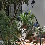 Kleines Einzelzimmer Mit Meerblick Apartmán *